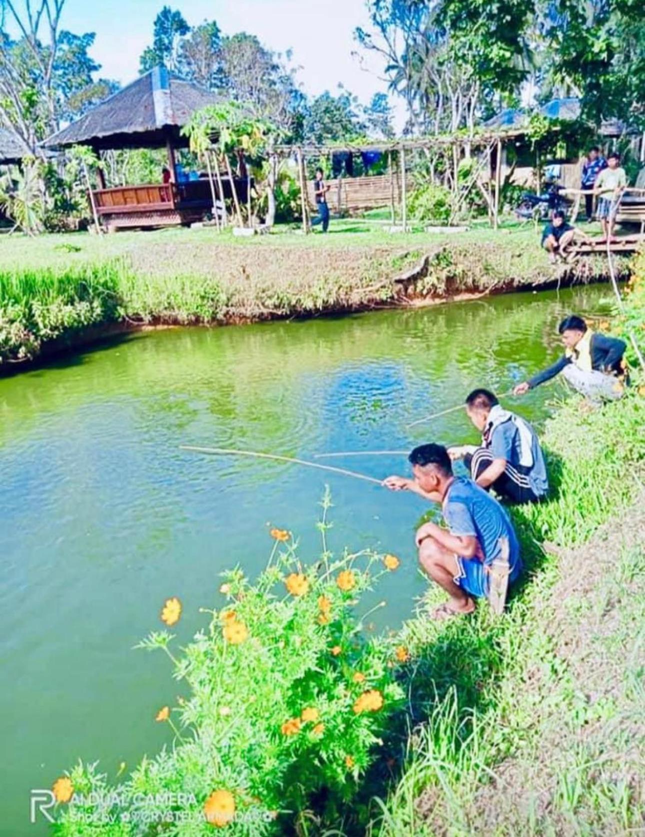 Отель Camelo Farm Bilar Экстерьер фото